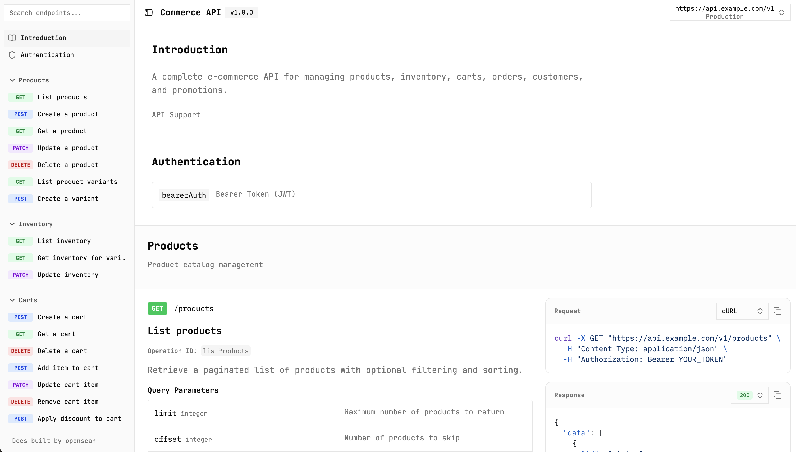OpenScan preview showing API documentation interface